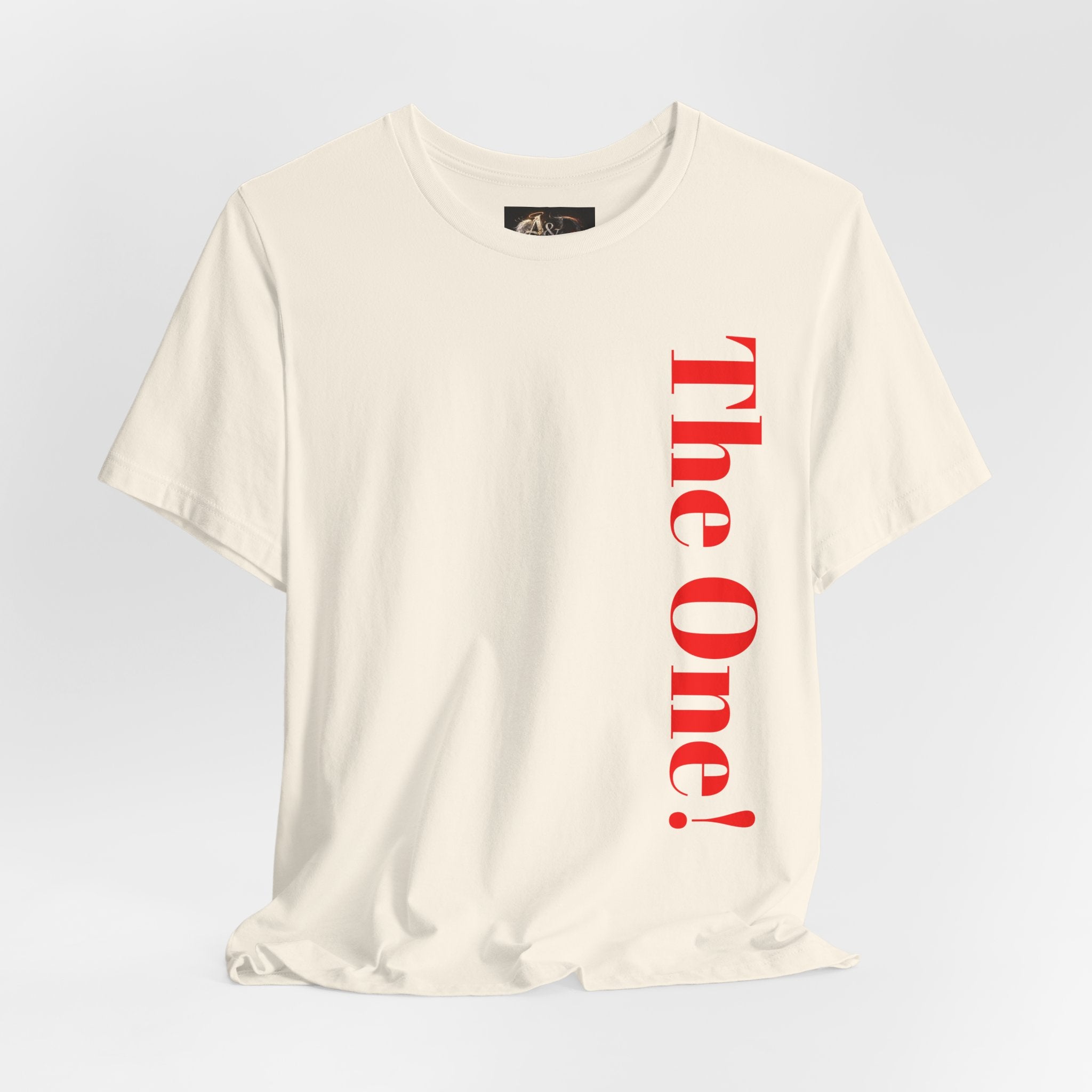 The One the He left the 99 for - Two Sided - Tee