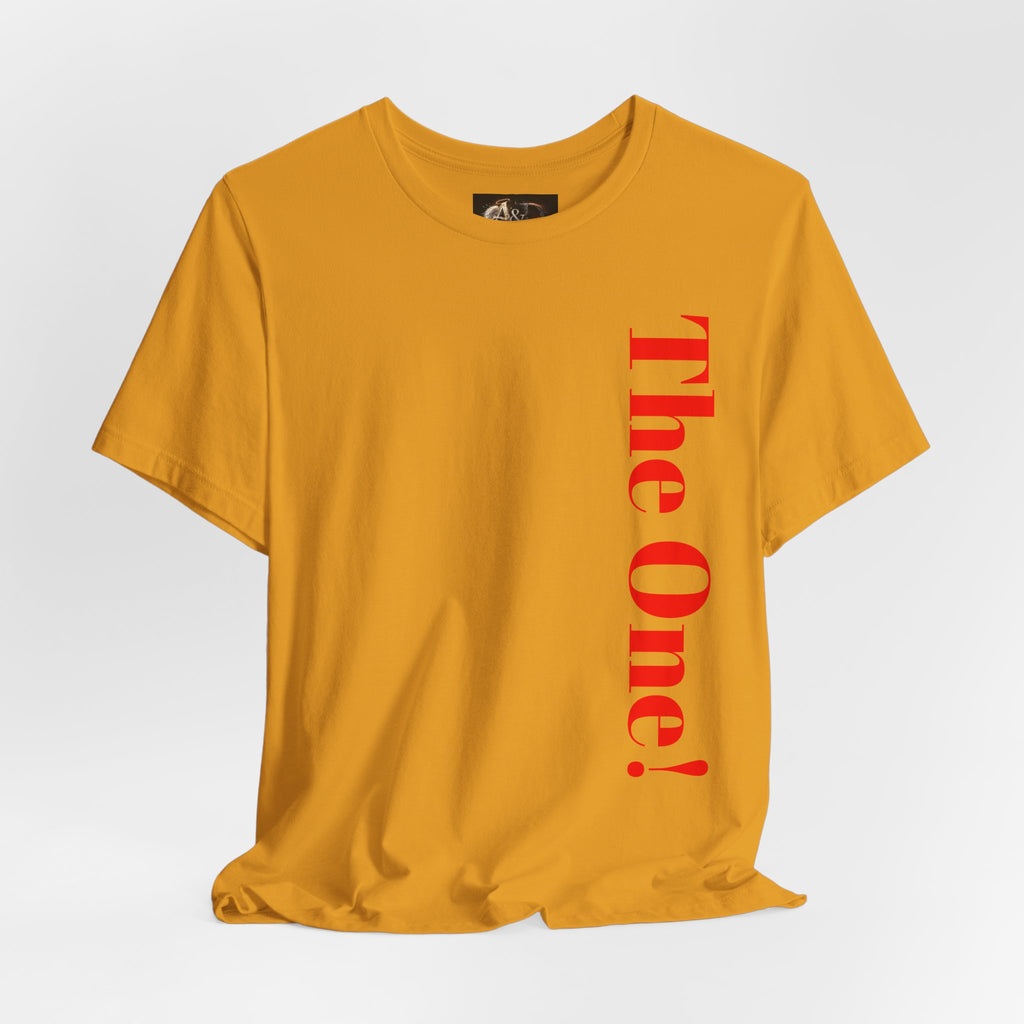 The One the He left the 99 for - Two Sided - Tee