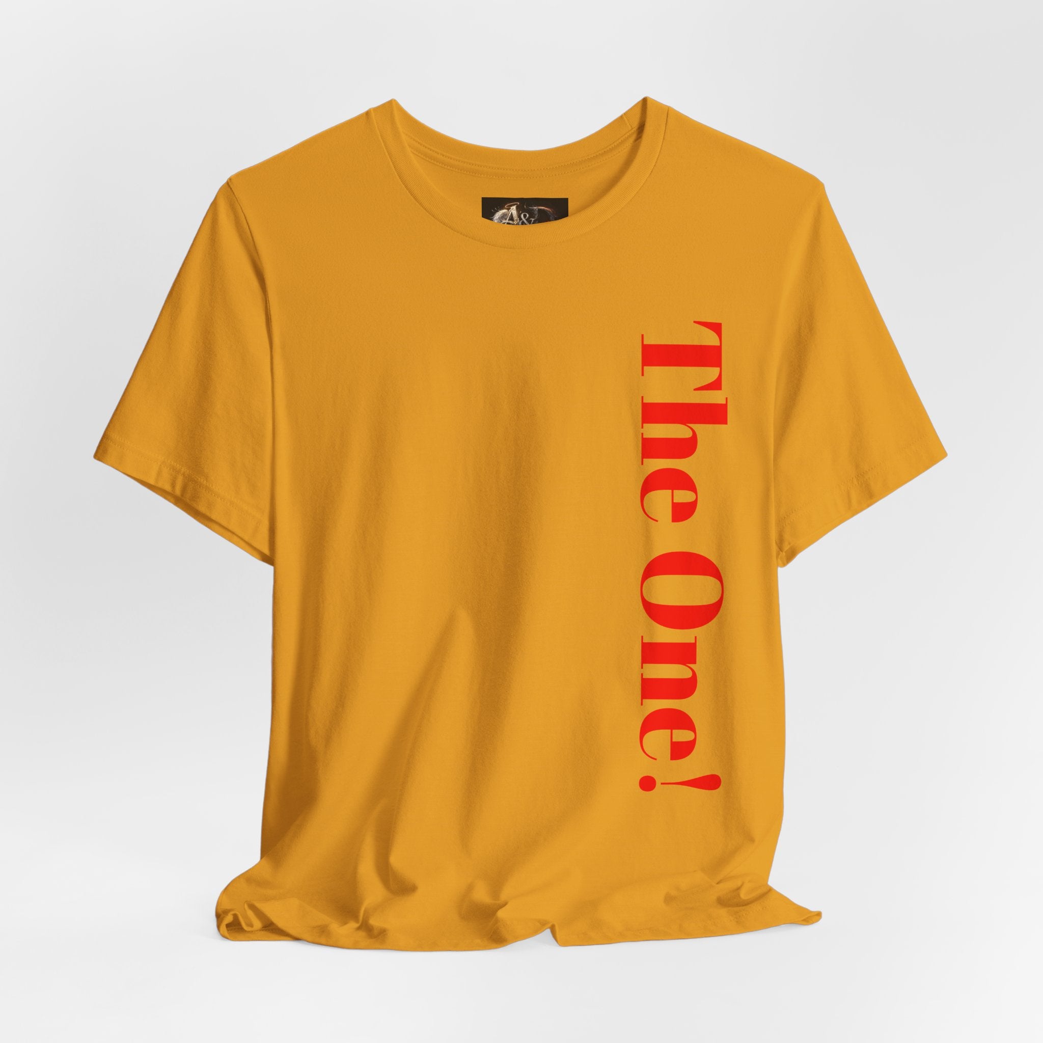 The One the He left the 99 for - Two Sided - Tee
